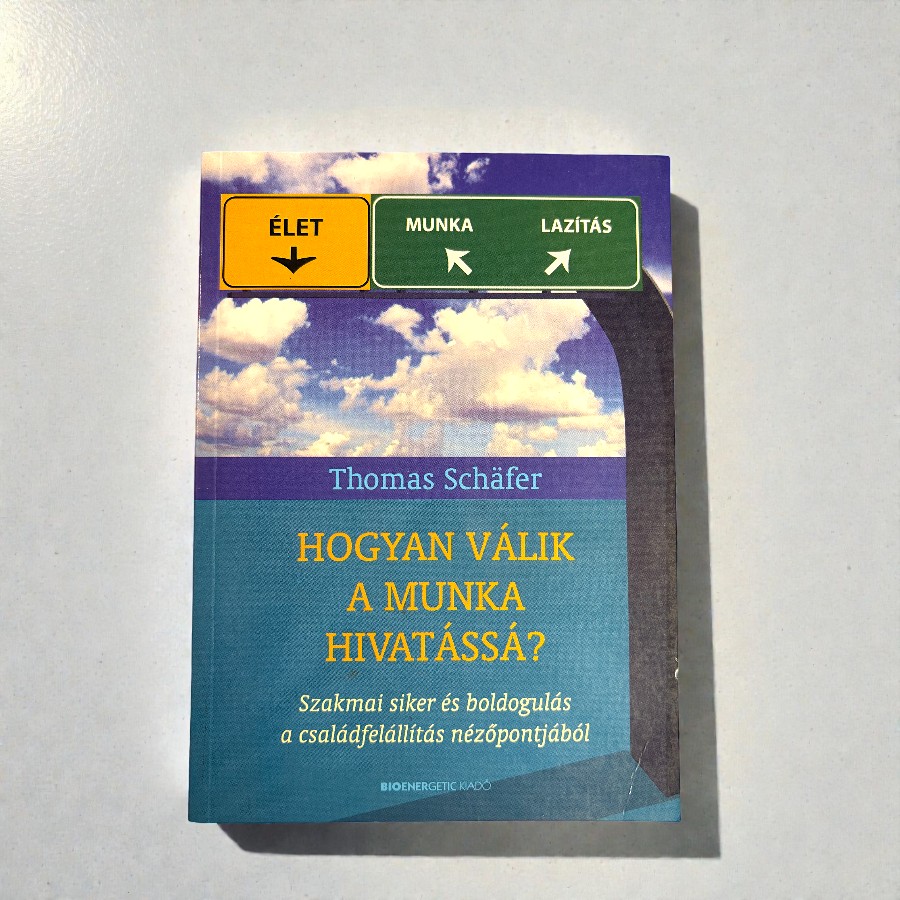 Thomas Schäfer - Hogyan válik a munka hivatássá? Szakmai siker és boldogulás a családfelállítás nézőpontjából